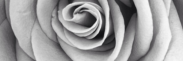 Alexandra Vanthier banner