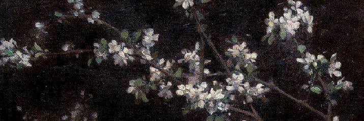 THPHYSIS's profile banner image