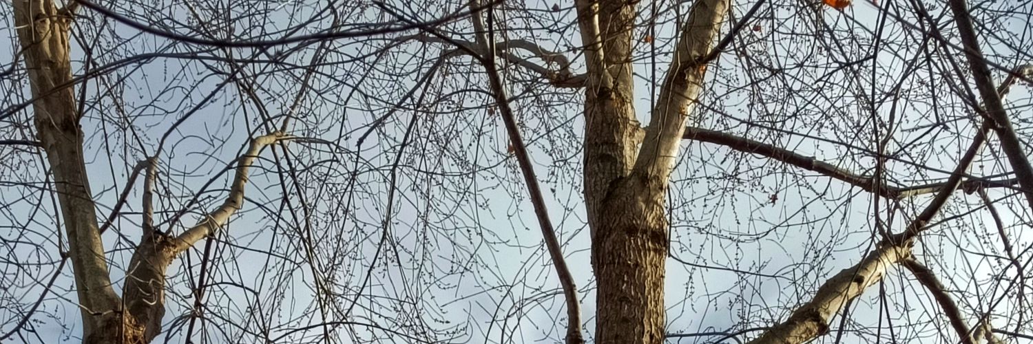 AssBoyBTTM's profile banner image