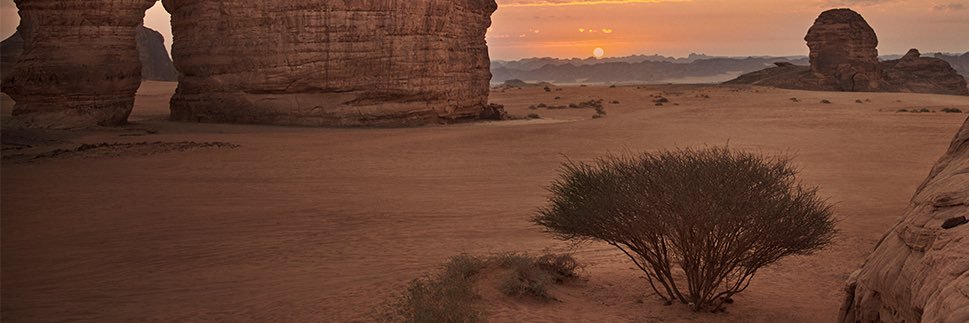 أبو فهد banner