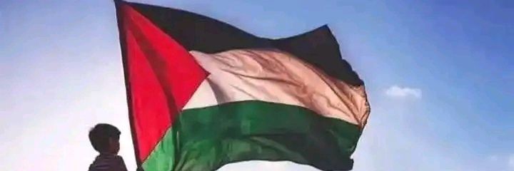 ShawkyKhattab's profile banner image