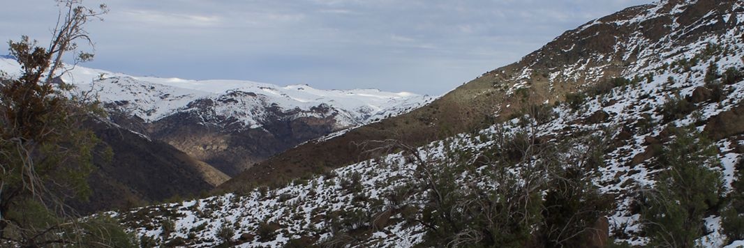 .................. banner