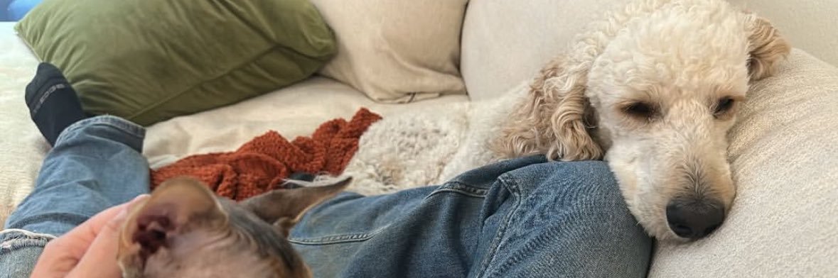 🌹ᏒᏬᏰᎩ🌹 banner