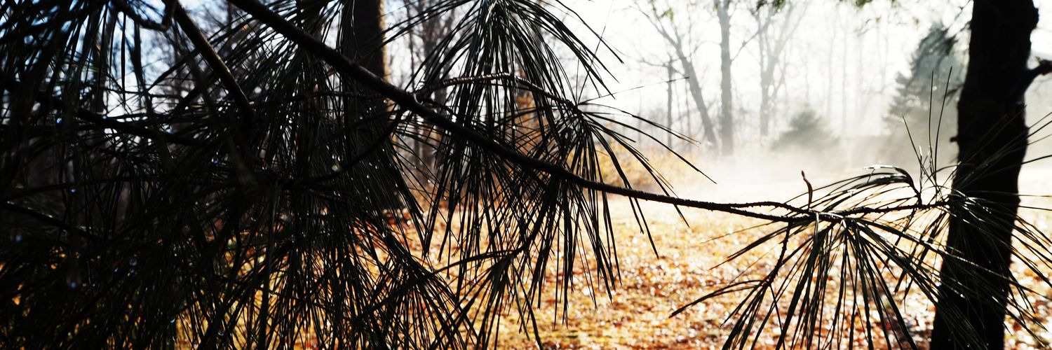 binkyboo42's profile banner image