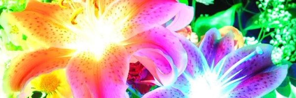 THEDUSTII Profile Banner