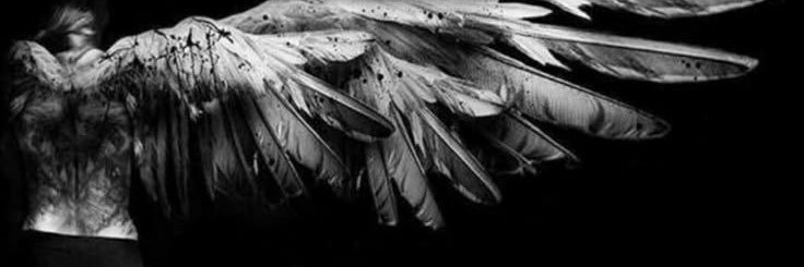 nttvalss's profile banner image