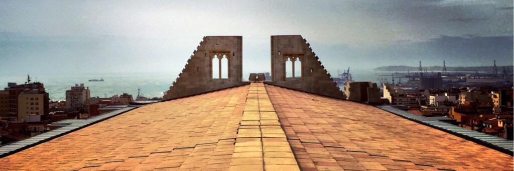 Albert Puñet banner