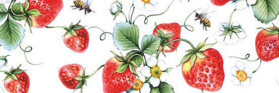 pookpook3105's profile banner image