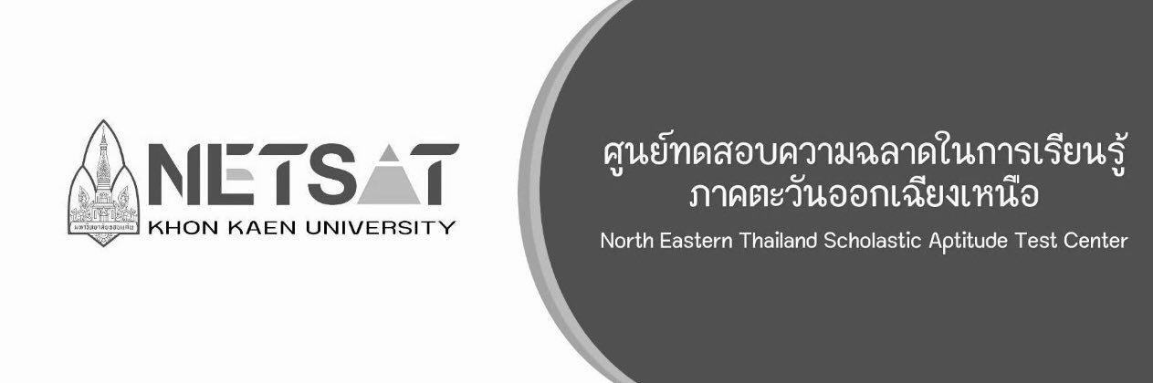 NETSAT banner