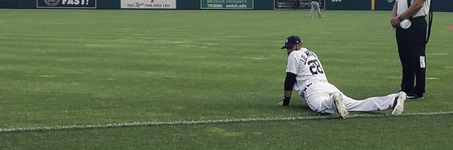 detroit tigers baby banner