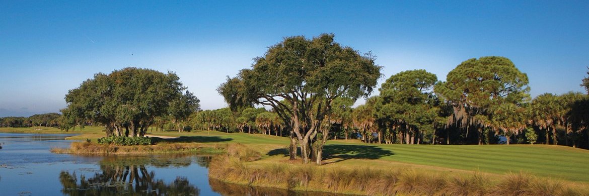 Prof. Thomas Cuckston banner