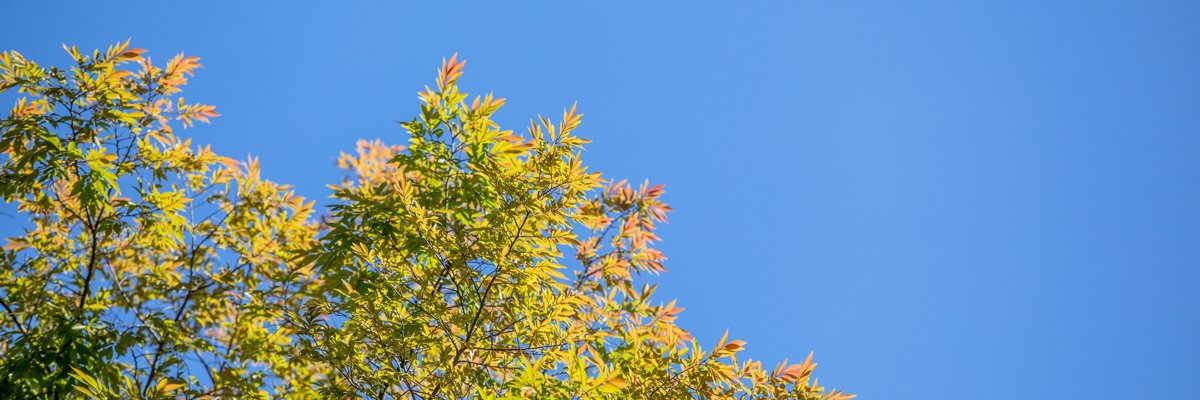 processworx's profile banner image