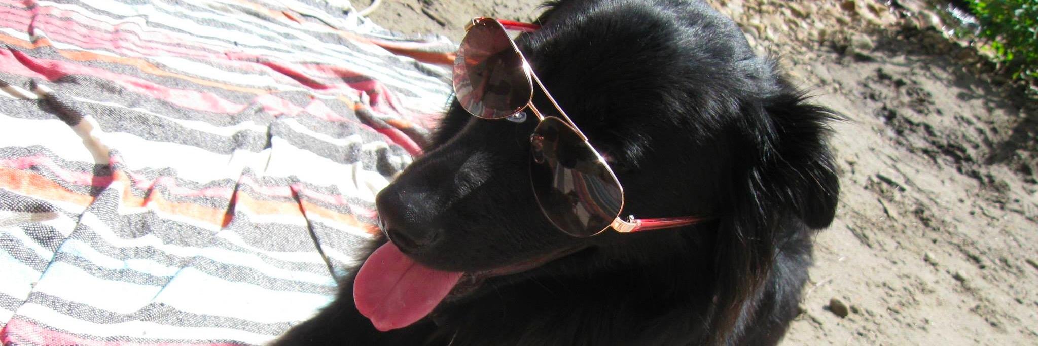 CathDG's profile banner image