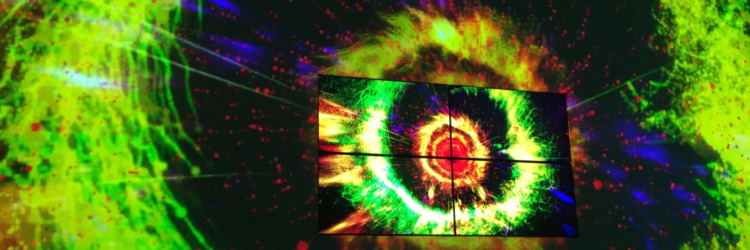 Anne P Schelle banner