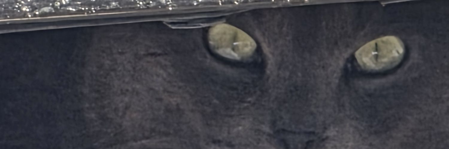 Michael Helton banner