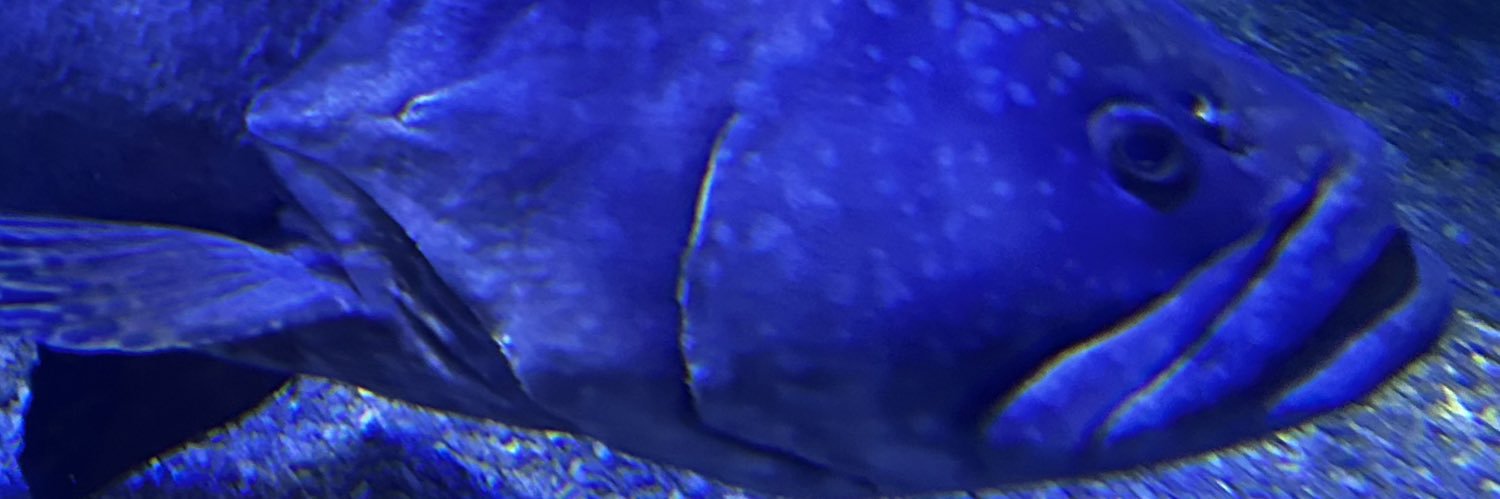 mustardman45's profile banner image