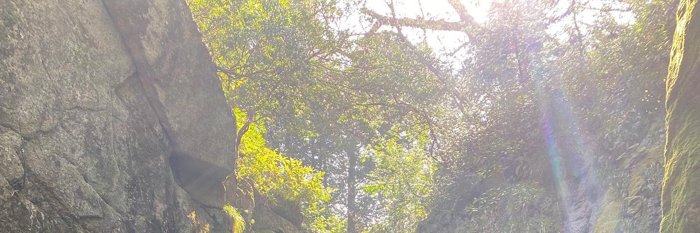 matpiyo's profile banner image