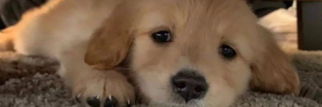 Pauladdffs's profile banner image
