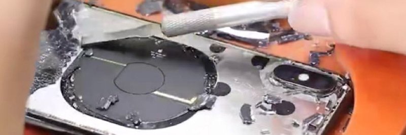 The Back Guru banner