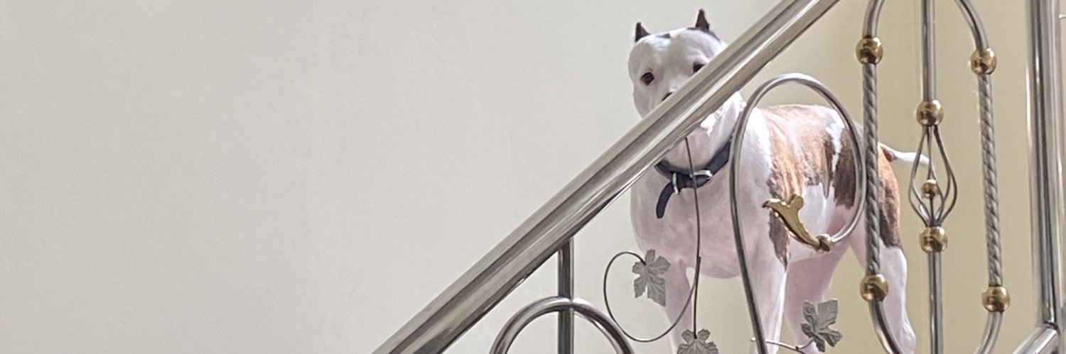 mimiegummie's profile banner image