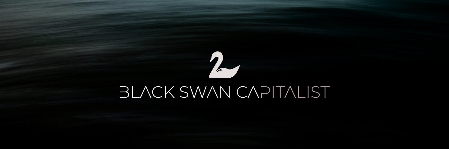 Black Swan Capitalist banner