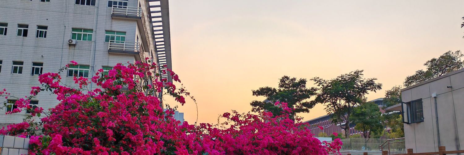 cenima1616889's profile banner image