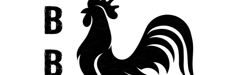 bbcking2l6's profile banner image