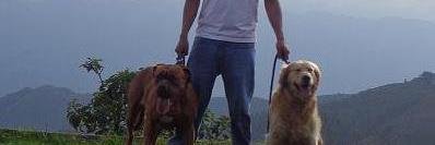 DARWIPn's profile banner image