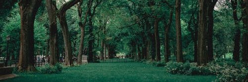 hasa__na banner