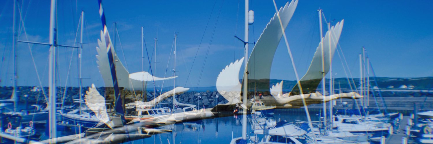 Crawford_Sim's profile banner image
