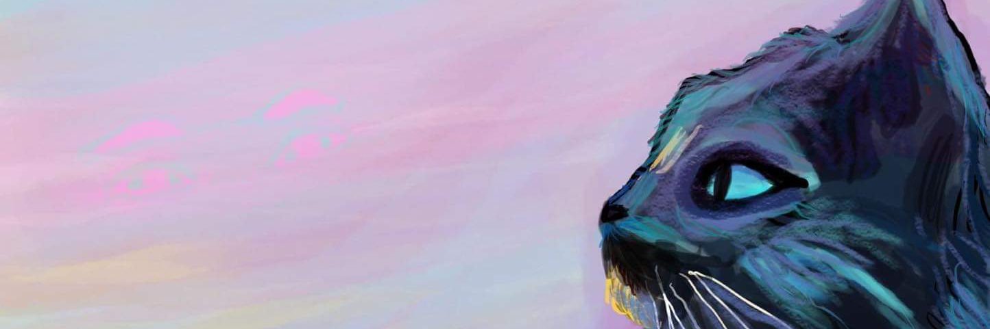 Nico Rueda banner