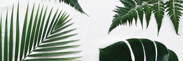 __caetanoo's profile banner image