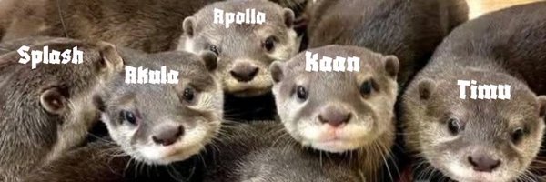 Splasheax Profile Banner