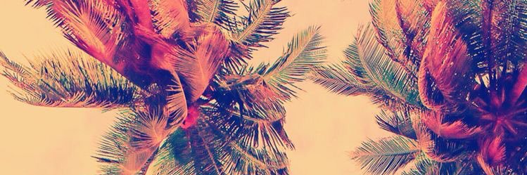 missnikkitheone's profile banner image