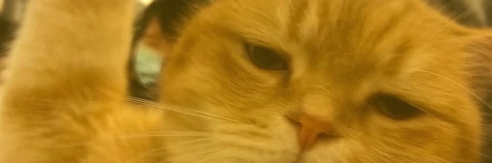 hyperchubby's profile banner image