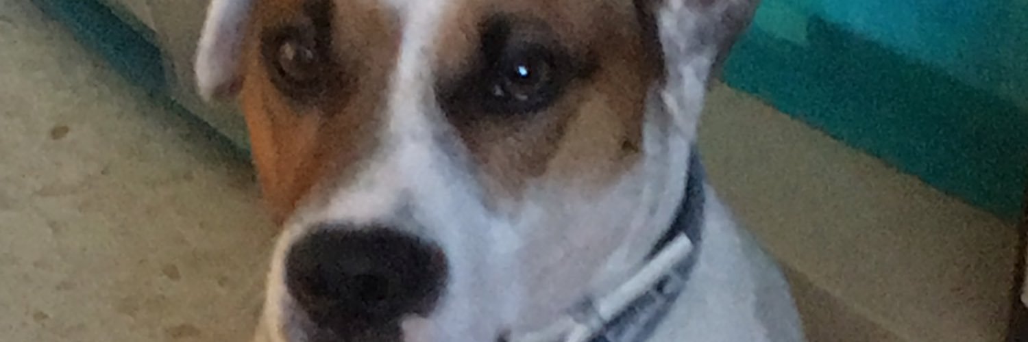 NoeliaDuque's profile banner image