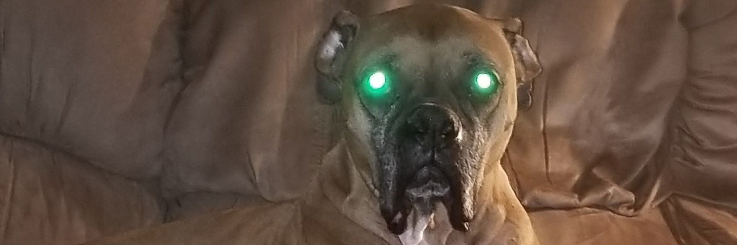 rmoose585's profile banner image