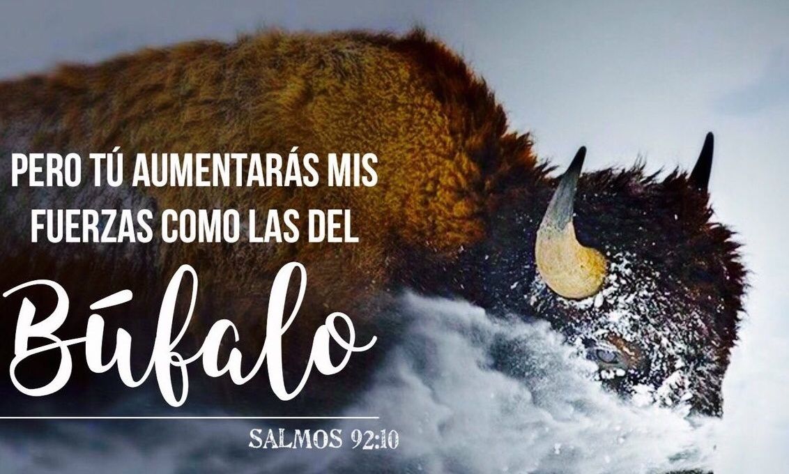 Démasqueur de la vie banner