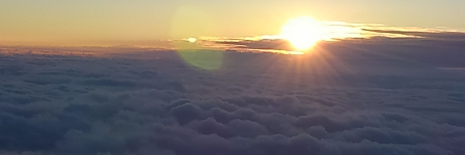 Dayflower04's profile banner image