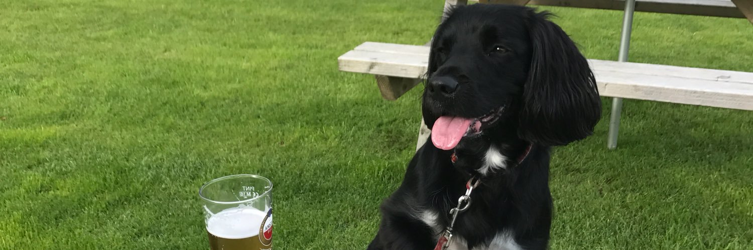 Robert Davies banner