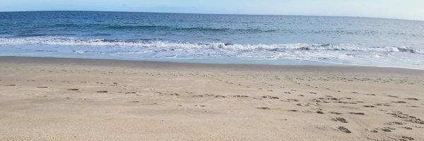 Hugo_Fortis Profile Banner