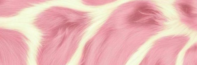 lade banner