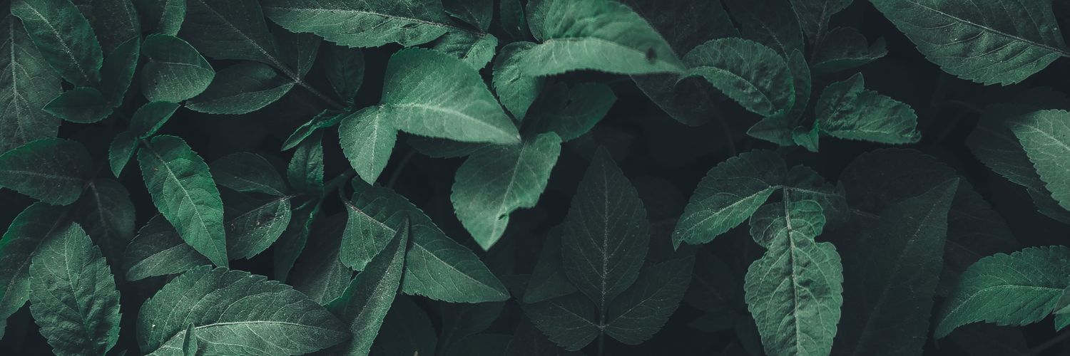 WAdip_'s profile banner image
