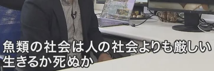 ネギ banner