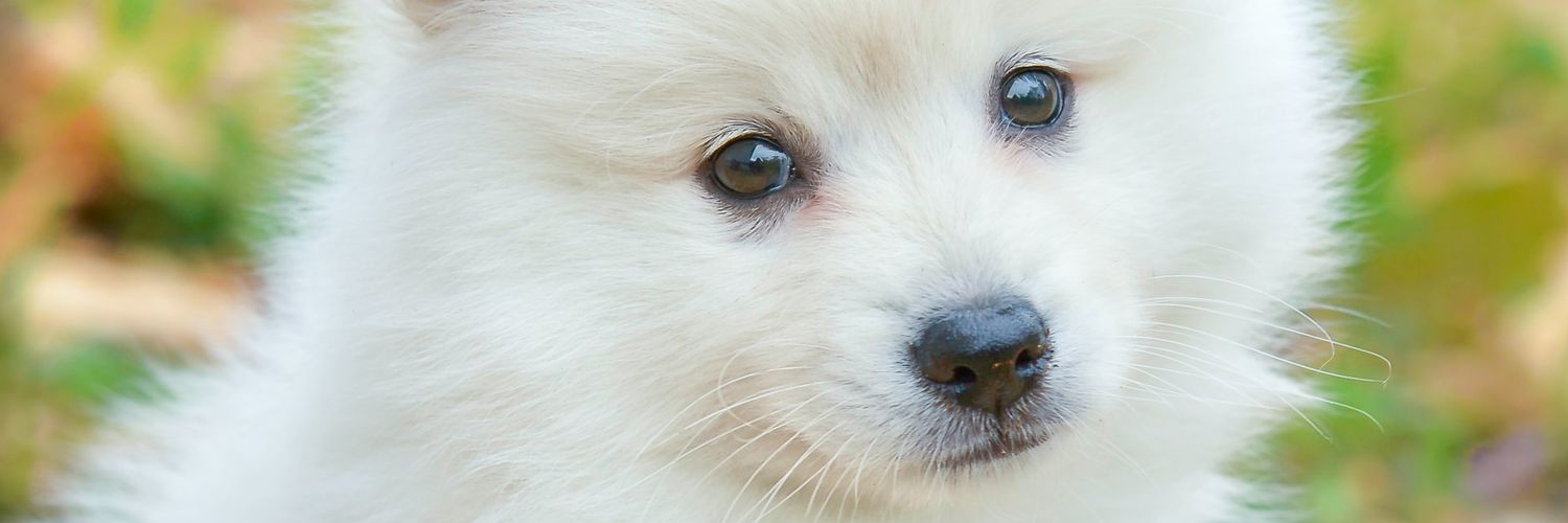 Beccatash's profile banner image