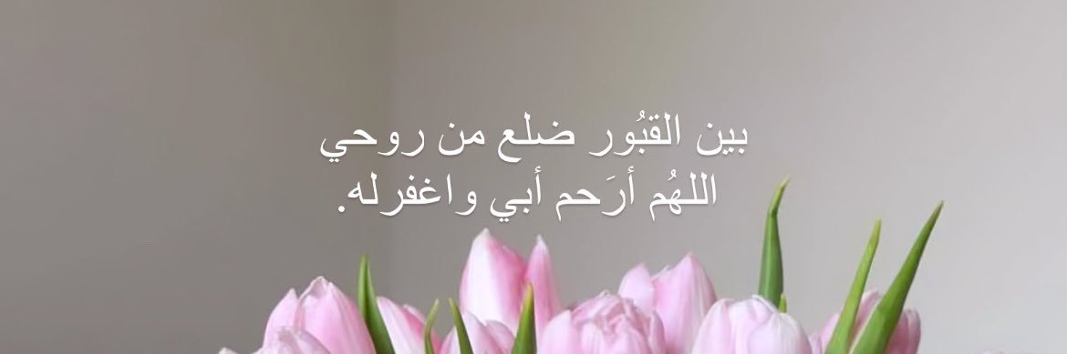 ayshaa08's profile banner image