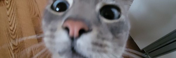 _tom1k0 Profile Banner