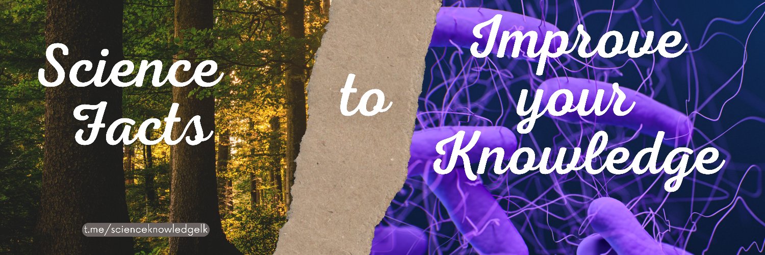 ScienceLK's profile banner image