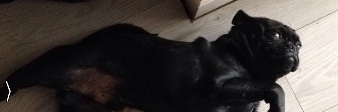 NathanMuldoonn's profile banner image