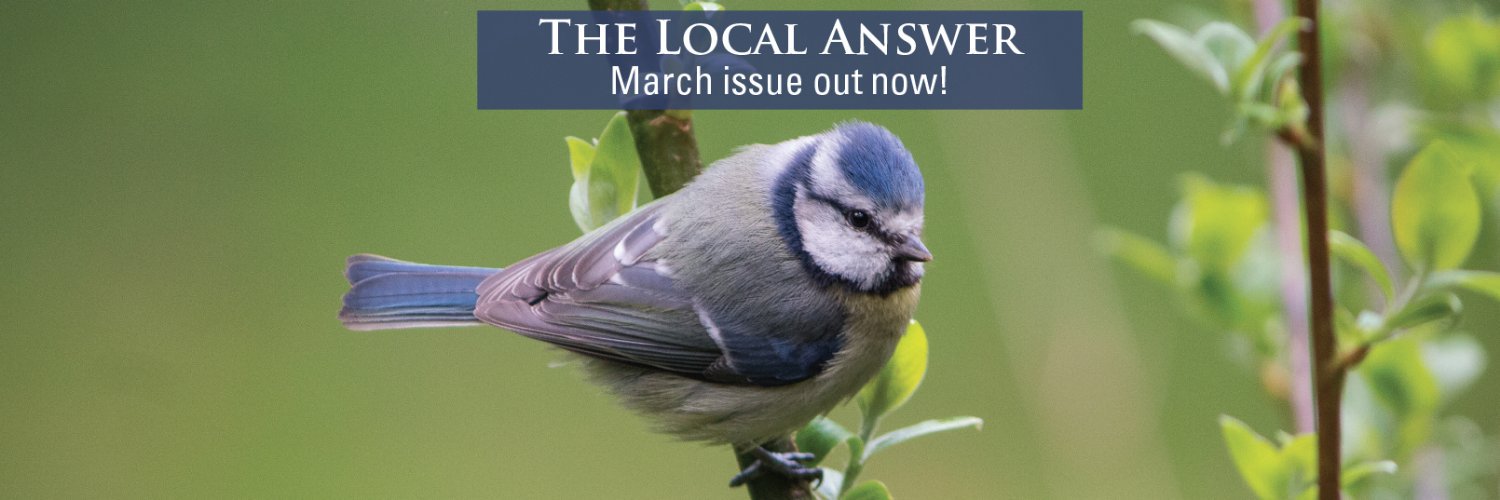 The Local Answer banner